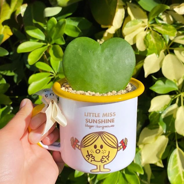 🌵 PERSONALIZED " 💛 SWEETHEART CACTUS IN A MUG"🌵