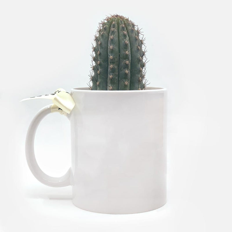 🌵 PERSONALIZED "CACTUS IN A MUG"🌵
