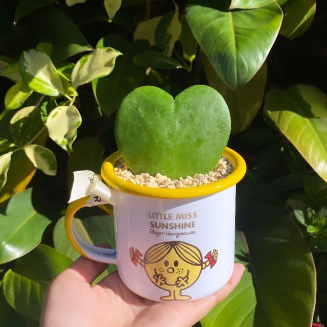 🌵 PERSONALIZED " 💛 SWEETHEART CACTUS IN A MUG"🌵
